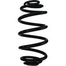 Spidan | Fahrwerksfeder | 87674