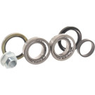 SKF | Radlagersatz | VKBA 3901