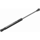 V10-1977 Gasfeder, Koffer-/Laderaum Original VAICO Qualität