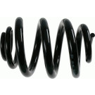 994 181 Fahrwerksfeder