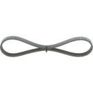 1 987 946 123 Keilrippenriemen Elastic