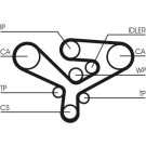 CT1135 Zahnriemen CT1135 Zahnriemen