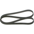 1 987 946 253 Keilrippenriemen