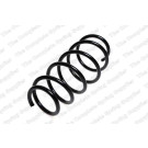 4063479 Fahrwerksfeder