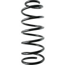 Spidan | Fahrwerksfeder | 55616