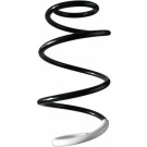 Spidan | Fahrwerksfeder | 87244