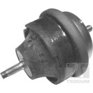 Tedgum | Lagerung, Motor | 00145015