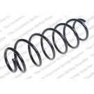 4200714 Fahrwerksfeder