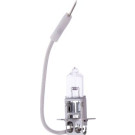 Maxgear | Glühlampe, Nebelscheinwerfer | 78-0050