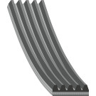 FEBI BILSTEIN 28856 Keilrippenriemen 5PK1145, 1145mm, 5 Rippen FEBI BILSTEIN 28856 Keilrippenriemen 5PK1145, 1145mm, 5 Rippen