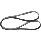 BOSCH | Keilrippenriemen | 1 987 946 029