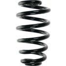 Spidan | Fahrwerksfeder | 56869