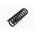 4256851 Fahrwerksfeder