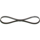 1 987 947 847 Keilrippenriemen 1 987 947 847 Keilrippenriemen