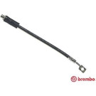 Brembo | Bremsschlauch | T 59 016