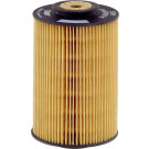 Hengst Filter | Kraftstofffilter | E5KP D12