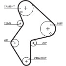 5249XS Zahnriemen PowerGrip™ 5249XS Zahnriemen PowerGrip™