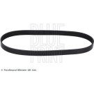 Blue Print | Keilrippenriemen | AD07R970