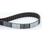 ContiTech | Zahnriemen | CT641 ContiTech | Zahnriemen | CT641