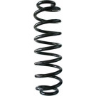 Spidan | Fahrwerksfeder | 87414