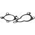 Elring | Dichtungssatz, AGR-System | 929.120