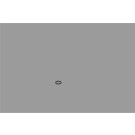 BOSCH | Dichtring | F 00R 0P0 340