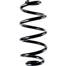 Spidan | Fahrwerksfeder | 88373