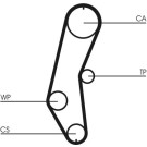 CT666 Zahnriemen CT666 Zahnriemen