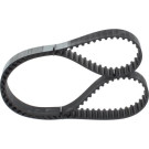 1 987 949 561 Zahnriemen 1 987 949 561 Zahnriemen