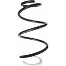 Spidan Fahrwerksfeder 87873