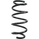 Spidan 2 x SPIDAN Fahrwerksfeder 86612