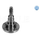 Meyle 2 x MEYLE Achsschenkel, Radaufhängung 100 501 1010