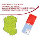 438602P Dichtungsvollsatz, Motor