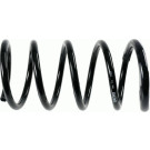 994 173 Fahrwerksfeder