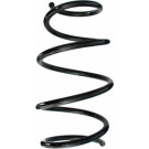 Spidan | Fahrwerksfeder | 87581
