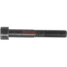 Metzger | Schraube, Bremssattel | 11502