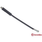 Brembo | Bremsschlauch | T 24 048