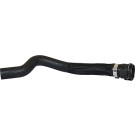 2420459 Kühlerschlauch