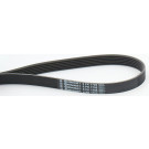 ContiTech | Keilrippenriemen | 6PK1705