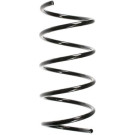 Spidan | Fahrwerksfeder | 49720