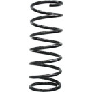 Spidan | Fahrwerksfeder | 55211