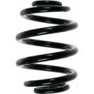 Spidan | Fahrwerksfeder | 85537