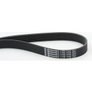 ContiTech | Keilrippenriemen | 7PK1125 ContiTech | Keilrippenriemen | 7PK1125