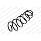 4026165 Fahrwerksfeder
