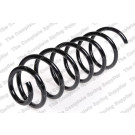 4215623 Fahrwerksfeder