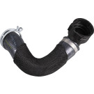 2421742 Kühlerschlauch