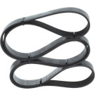 1 987 946 255 Keilrippenriemen