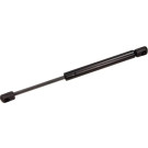 12-1697 Gasfeder, Heckscheibe