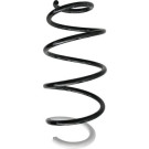 Spidan | Fahrwerksfeder | 87362