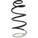 Spidan | Fahrwerksfeder | 87064
